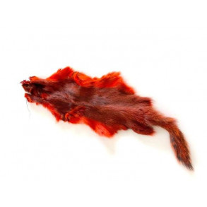 Golden Squirrel - Burnt Orange