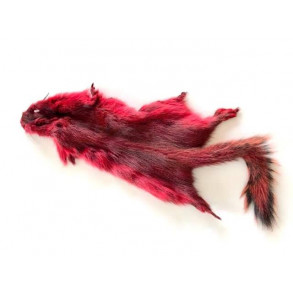 Golden Squirrel - Red