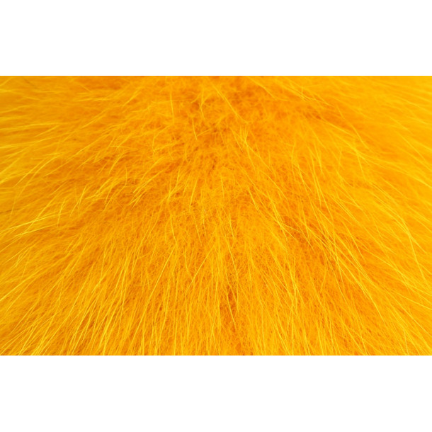 Shadow Fox - Golden Carrot