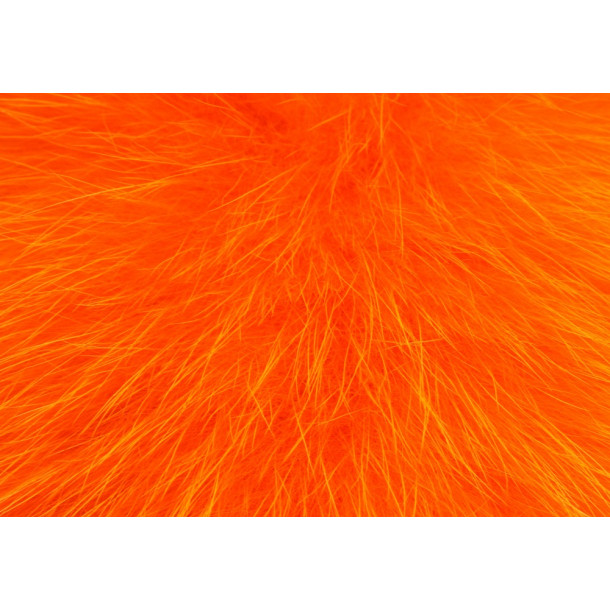Shadow Fox - Orange