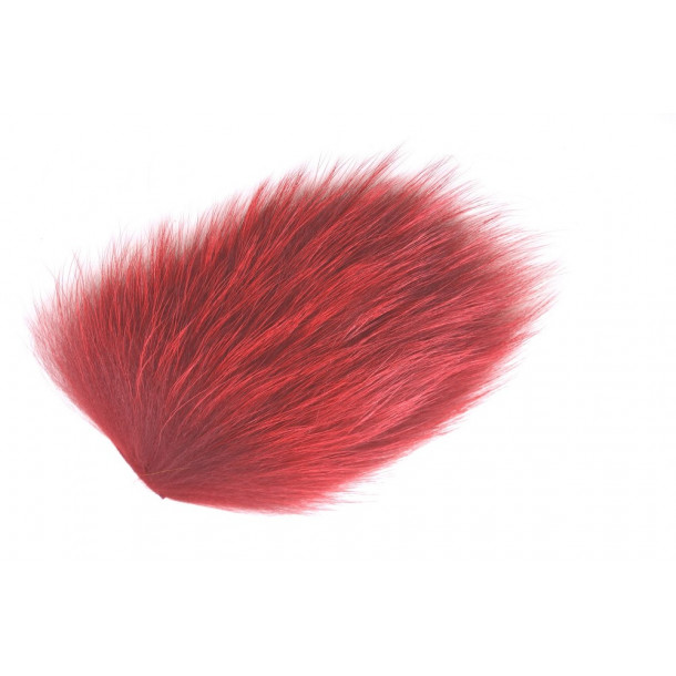Tanuki - Claret