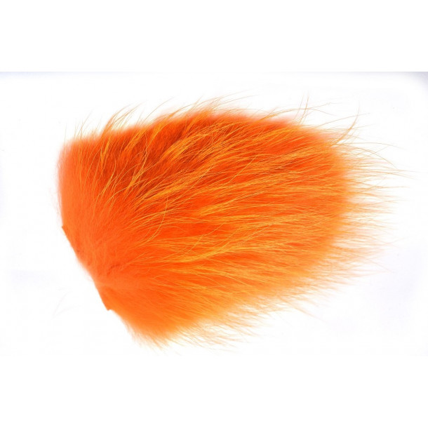 Tanuki - Dark Ginger