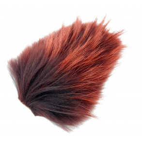 Tanuki - Phatagorva/Dark Dust