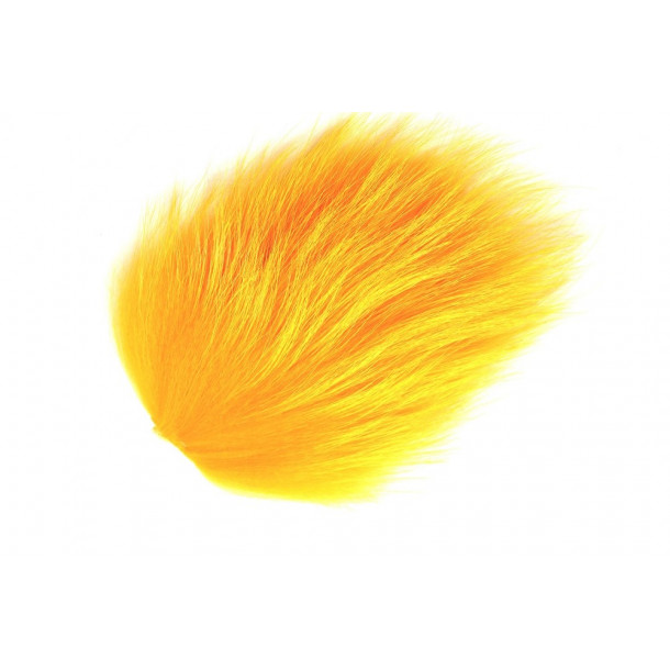 Tanuki - Sunburst