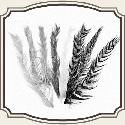 Dubbing-, Streamer- og Baitfish brushes