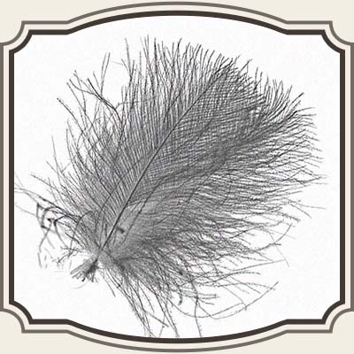 Swiss CDC Ultra Select XL