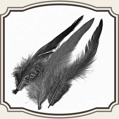 Whiting Schlappen store pakker