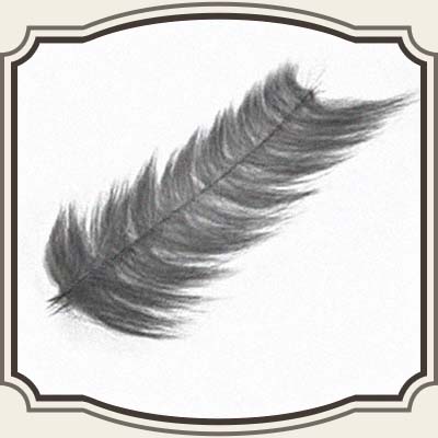 EP Predator Fur String