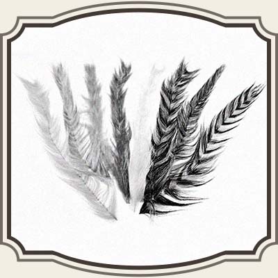 Polar Fiber Streamer brush