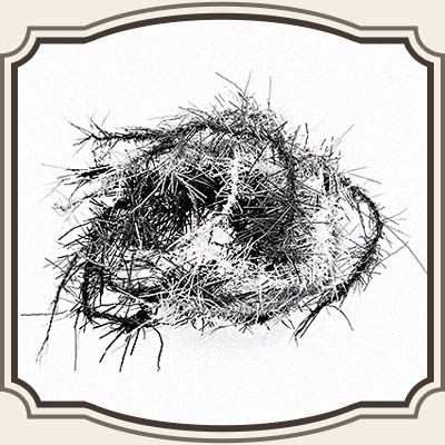 Oliver Edwards Caddish ben