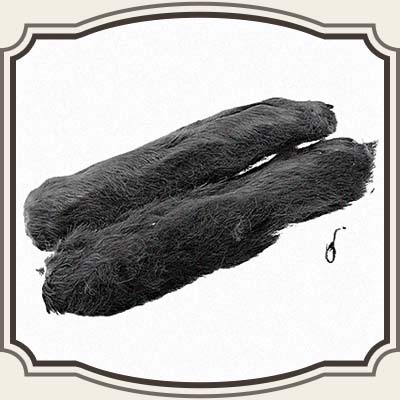 Snowshoe Rabbit foot