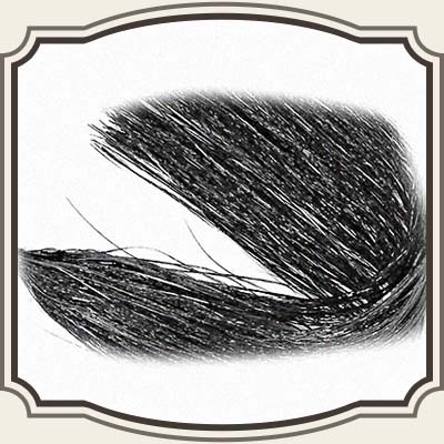 Holographic Flashabou