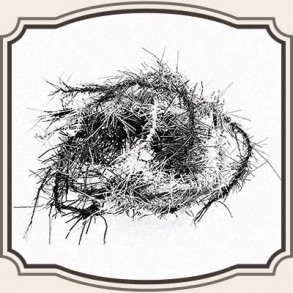 Oliver Edwards Caddish ben