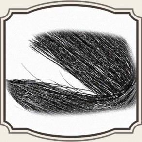 Holographic Flashabou