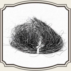 Saltwater Angel Hair