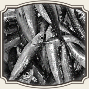 Agn, Bait og Dufte
