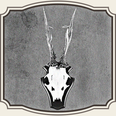 Vildt plader og tilbehør