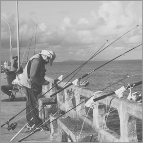 Hornfisk & Makrel Fiskesæt