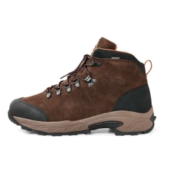 Gateway DayWalker 6"