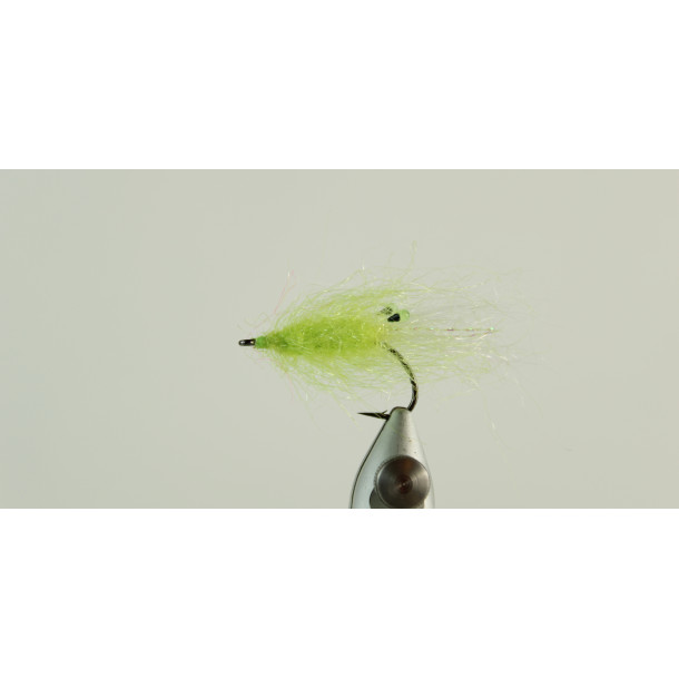 SFG Assens Rejen Chartreuse
