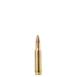 Norma jaktmatch cal 222