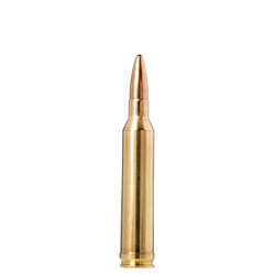 Norma jaktmatch cal 7mm Rem mag