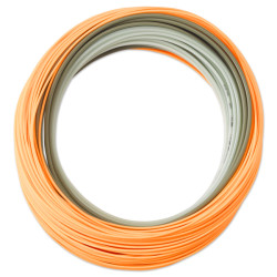 Orvis Hydros Bank Shot WF10 F/I