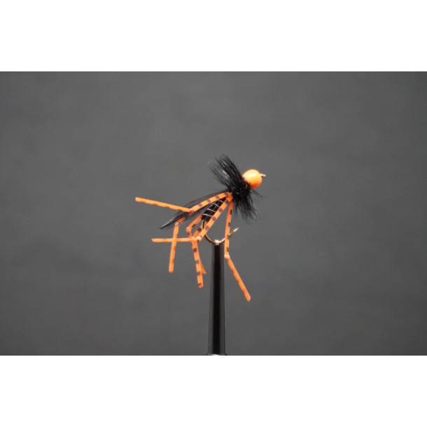 SFG Daddy Fluo Orange Bead
