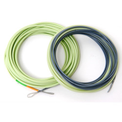 Guideline 4D Compact Body