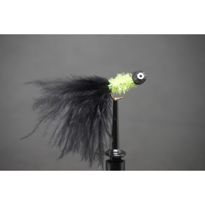 SFG Booby Fritz Vira