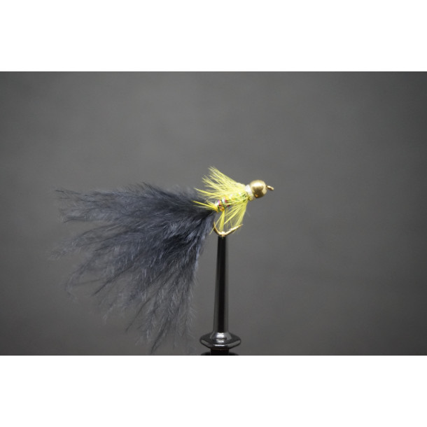 SFG Black Dancer