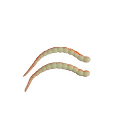 Ultimate Trout Cobra