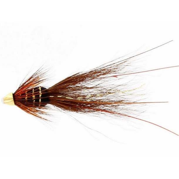 Franc N Snelda Phatagorva 1/2"