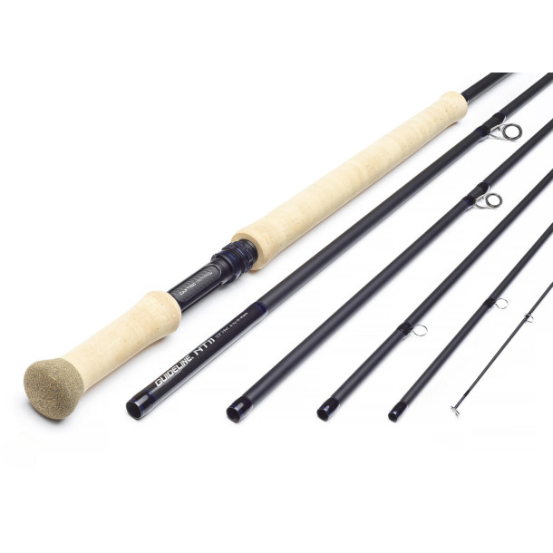 Guideline NT11 Salmon &amp; Seatrout