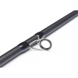 Guideline NT11 Salmon &amp; Seatrout