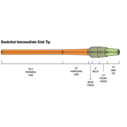 Orvis Hydros Bank Shot WF10 F/I