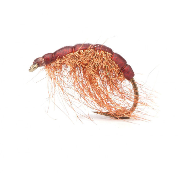 Kobberloppen Brun