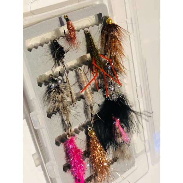 Fluesortiment til kyst og fjord