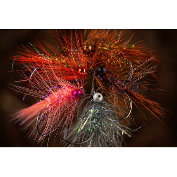 Mojn fluesortiment Future Fly