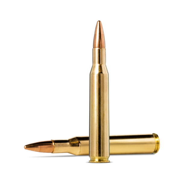 Norma jaktmatch cal 270