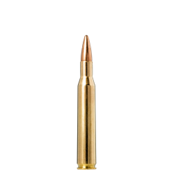 Norma jaktmatch cal 270