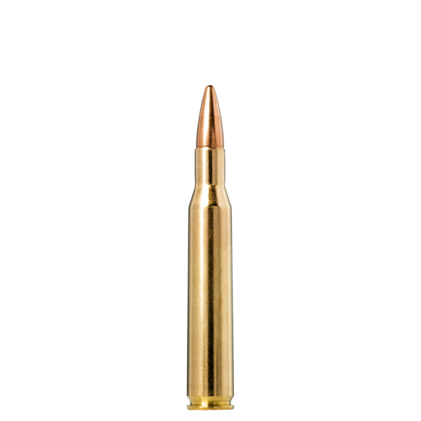 Norma jaktmatch cal 270