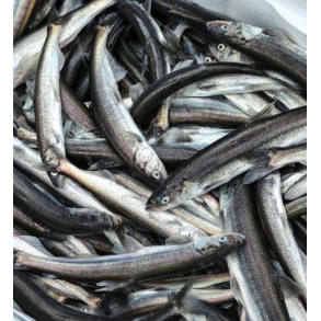Frosne Smelt 200g