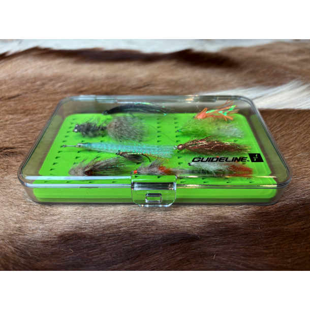 Kystflue Sortement 10 fluer inklusiv box