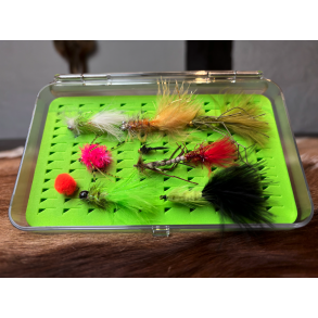 Put & Take flue Sortement 10 fluer inklusiv box