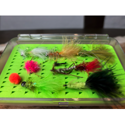 Put &amp; Take flue Sortement 10 fluer inklusiv box