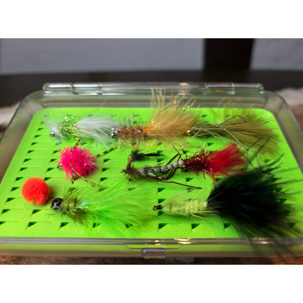 Put &amp; Take flue Sortement 10 fluer inklusiv box