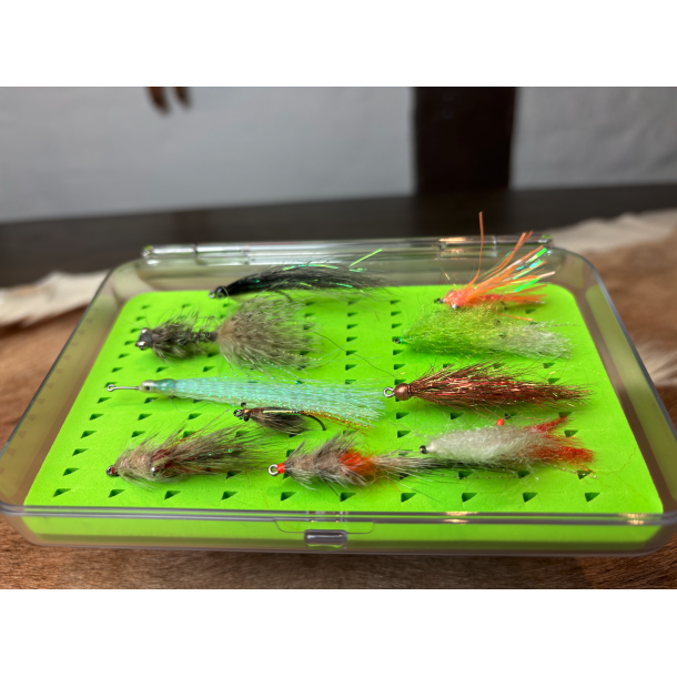 Kystflue Sortement 10 fluer inklusiv box