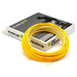 Guideline Power Presentation WF