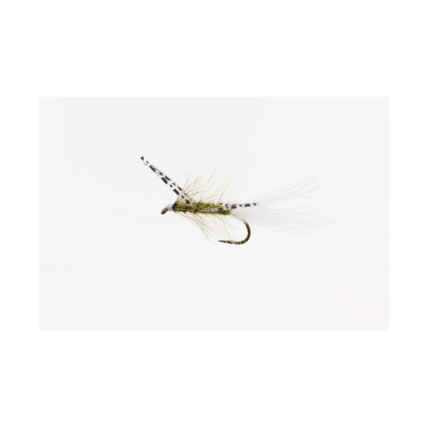 X-Fly Olive